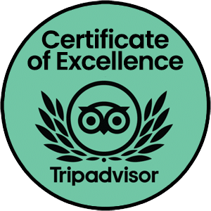Trip advisor certificate of excellence logo